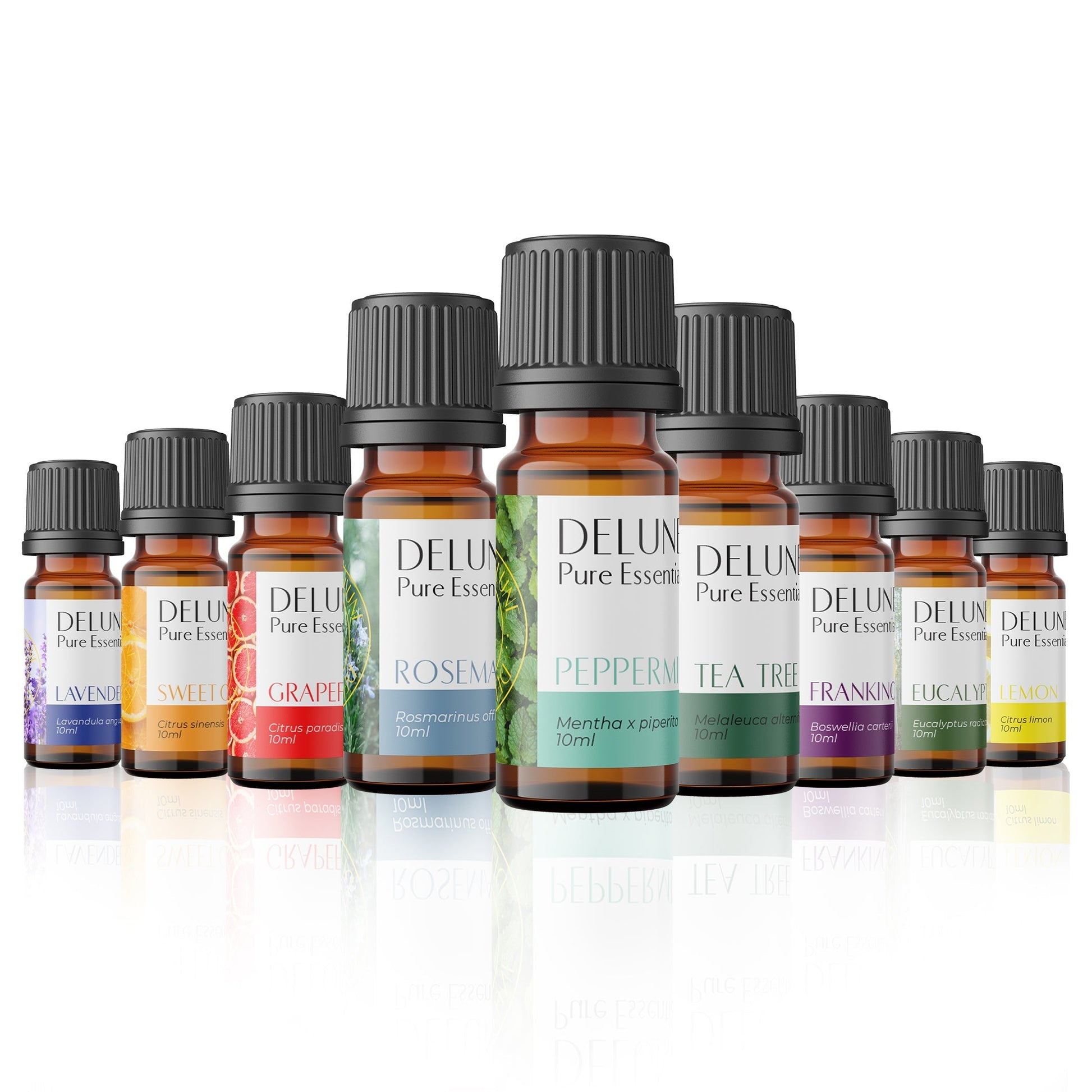 Essentials Plus - 9 Pack Set - Delune 